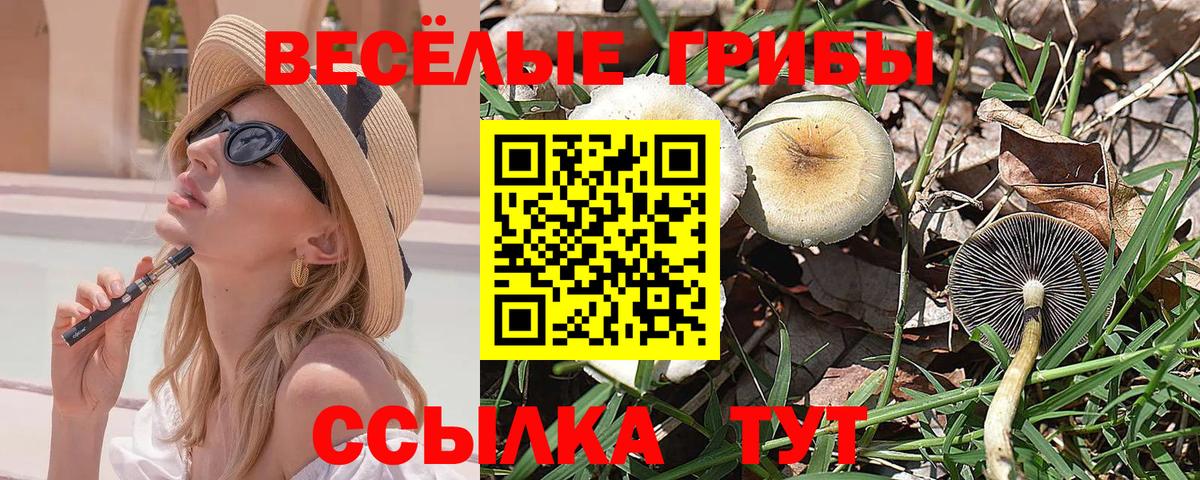 Псилоцибиновые грибы Cubensis Урюпинск