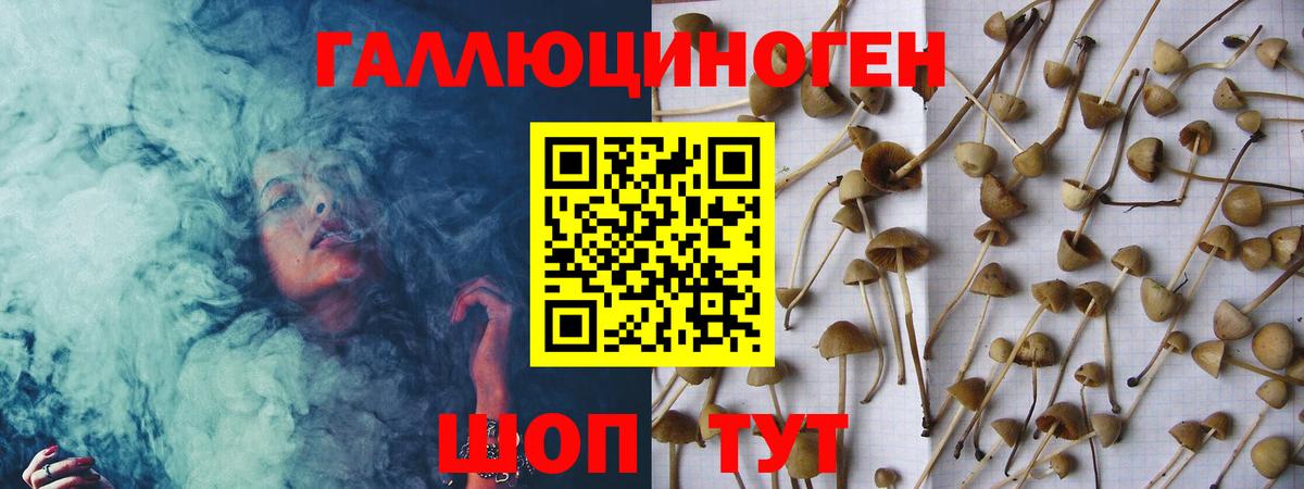 Урюпинск  Псилоцибиновые грибы Psilocybine cubensis  Вход с VPN  продажа наркотиков  Псилоцибиновые грибы Magic Shrooms 